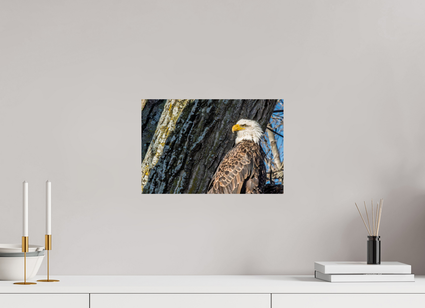 15 x 10″, Glossy Print Standing in the Gap