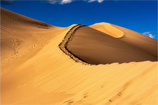A Line in the Sand