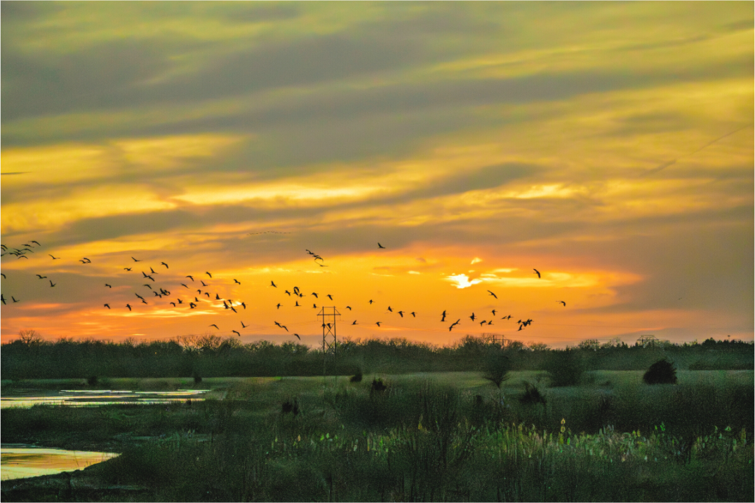Main image Sunset over Nebraska