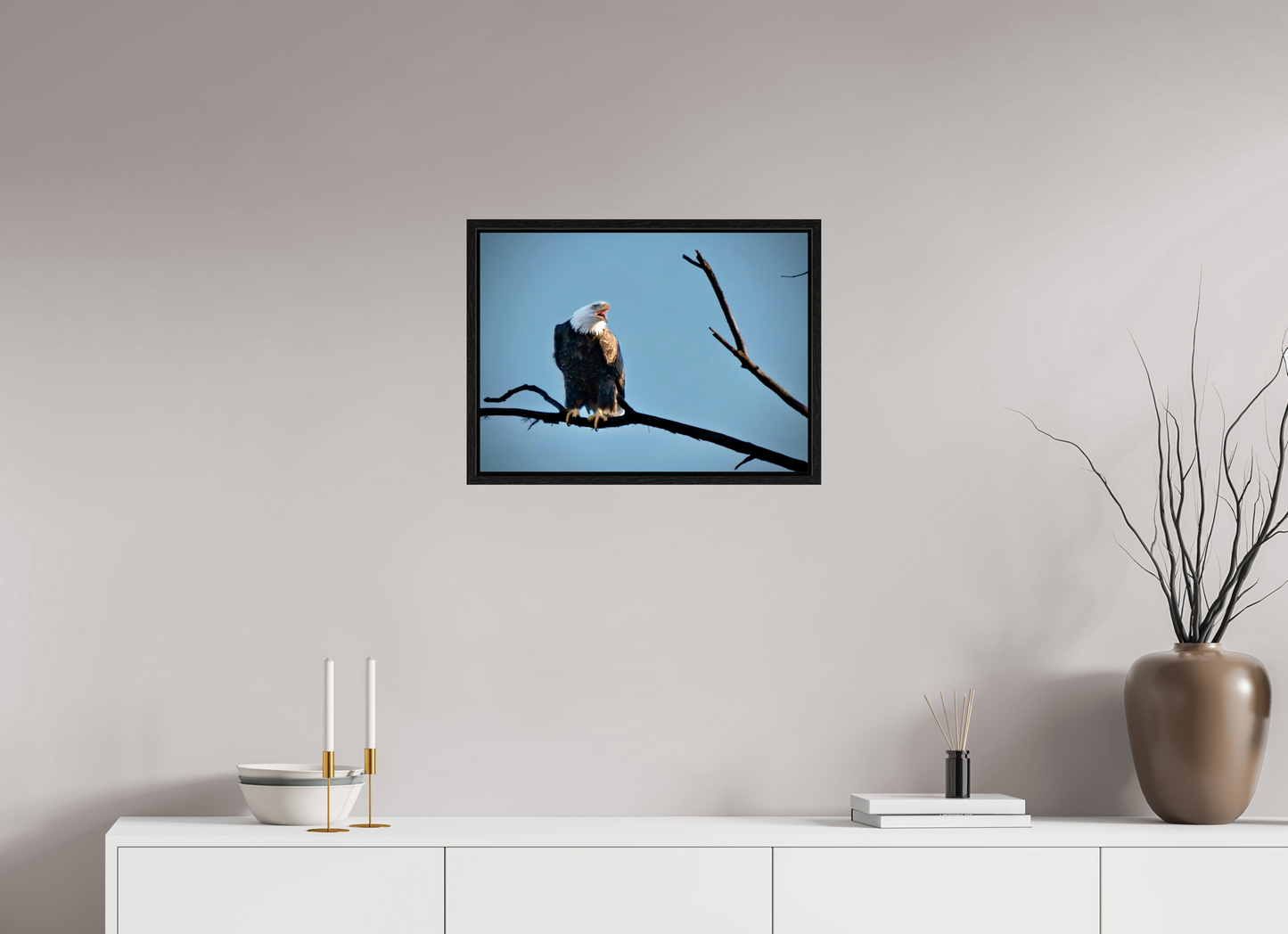 21.9 x 16″, Floater Frame Screaming Eagle