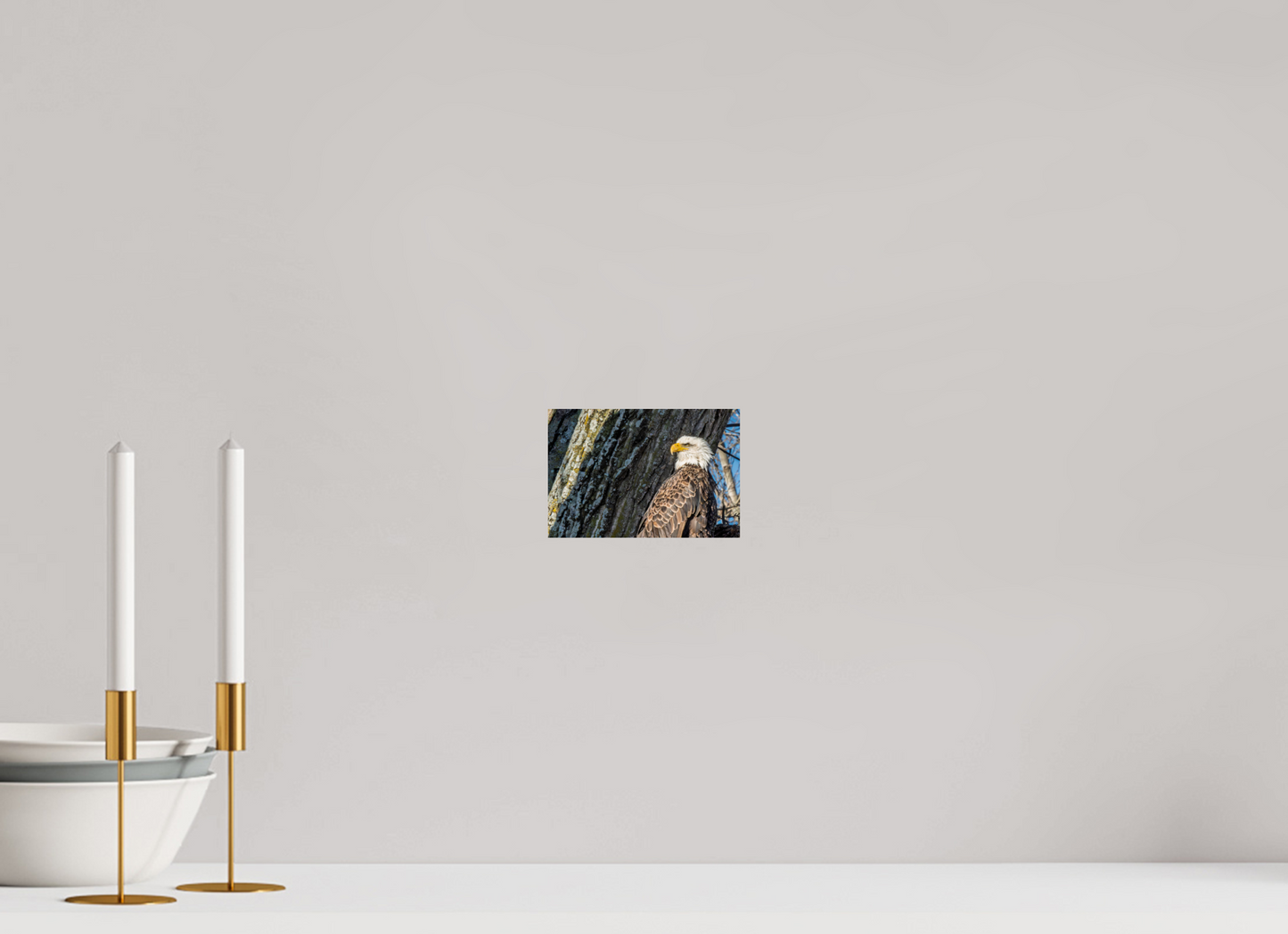 6 x 4″, Crystal Pearl Paper Standing in the Gap
