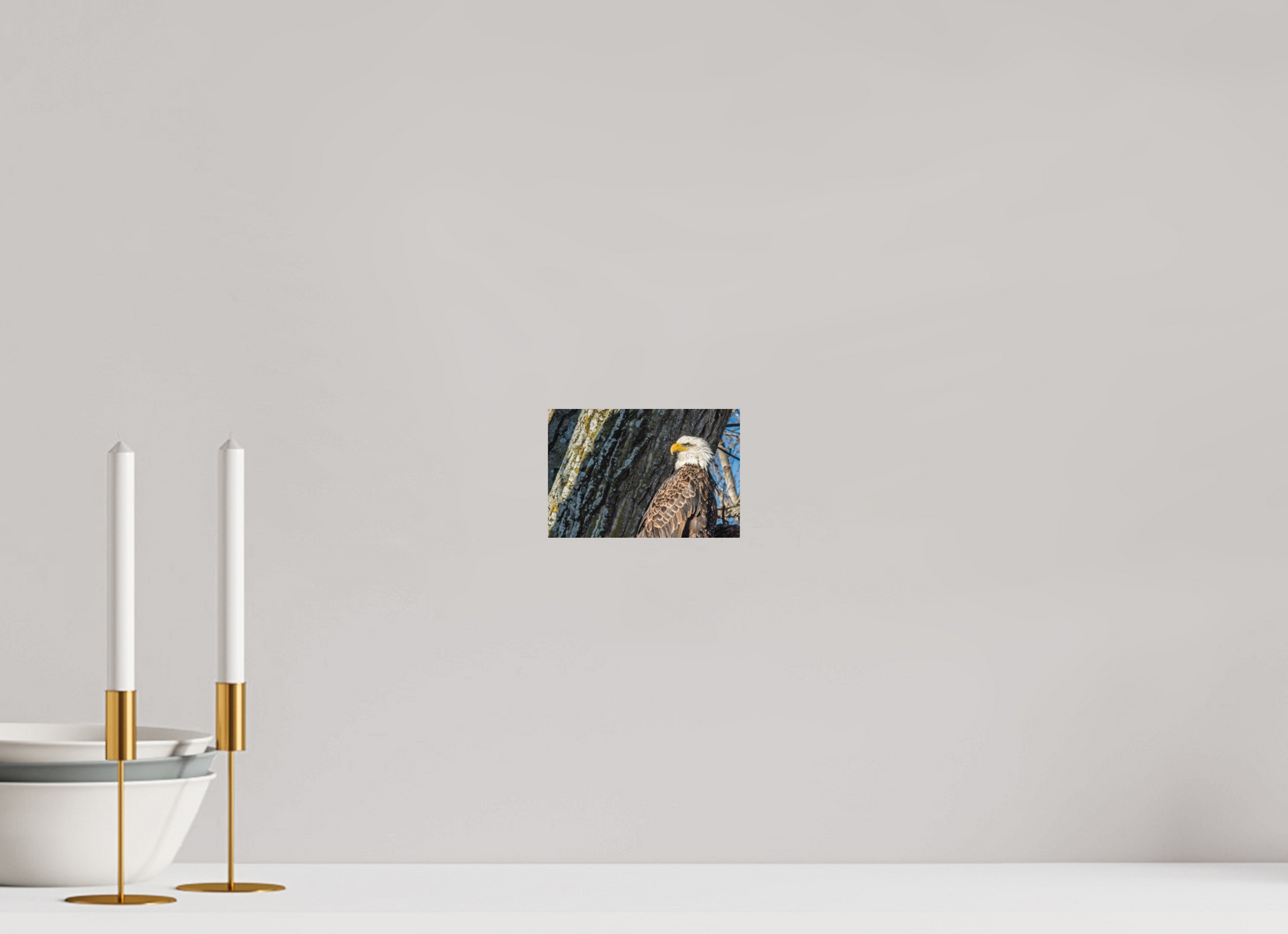 6 x 4″, Matte Print Standing in the Gap