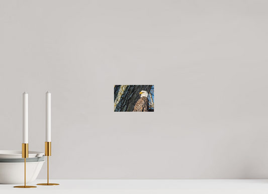6 x 4″, Matte Print Standing in the Gap