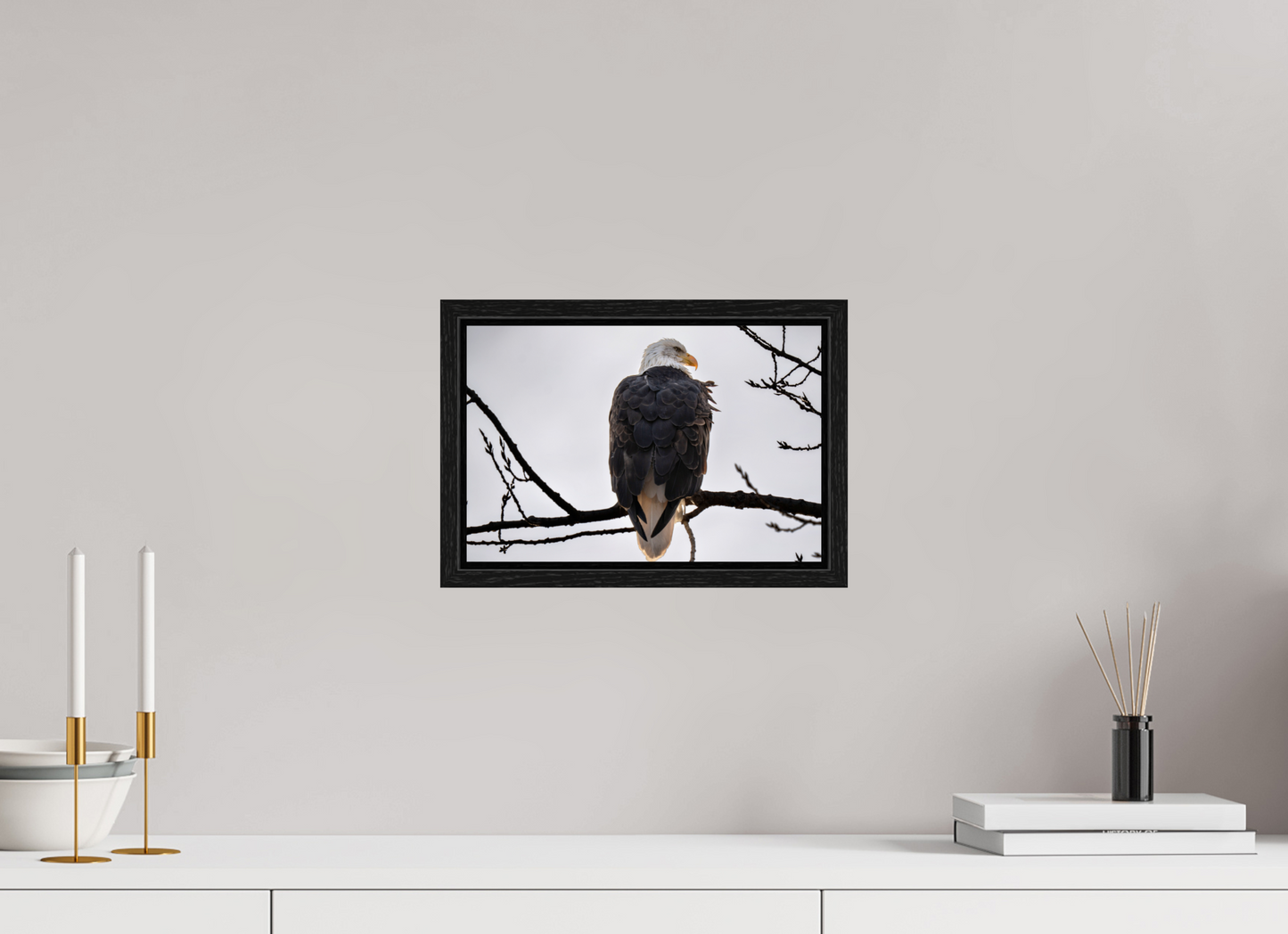 12 x 8″, Floater Frame Vigilant Overwatch