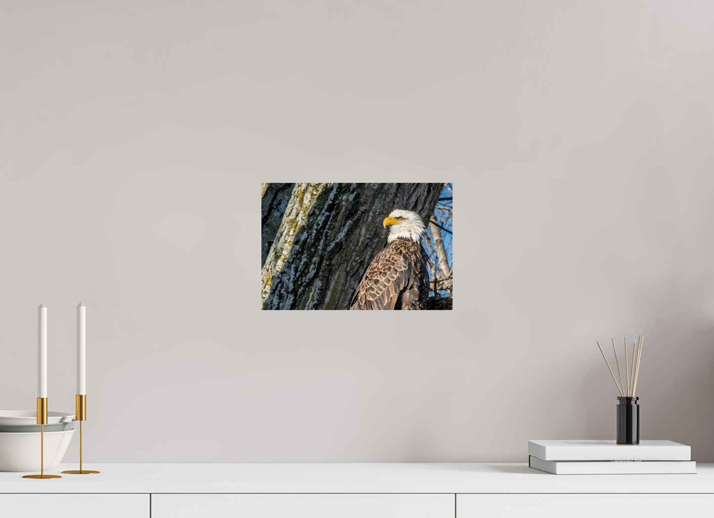 12 x 8″, Glossy Print Standing in the Gap