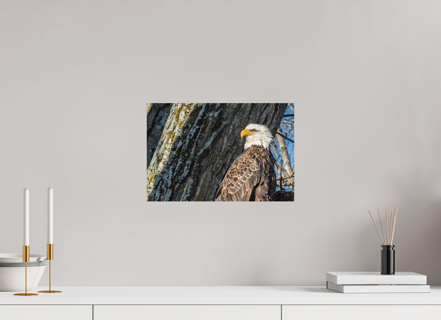 15 x 10″, Matte Print Standing in the Gap