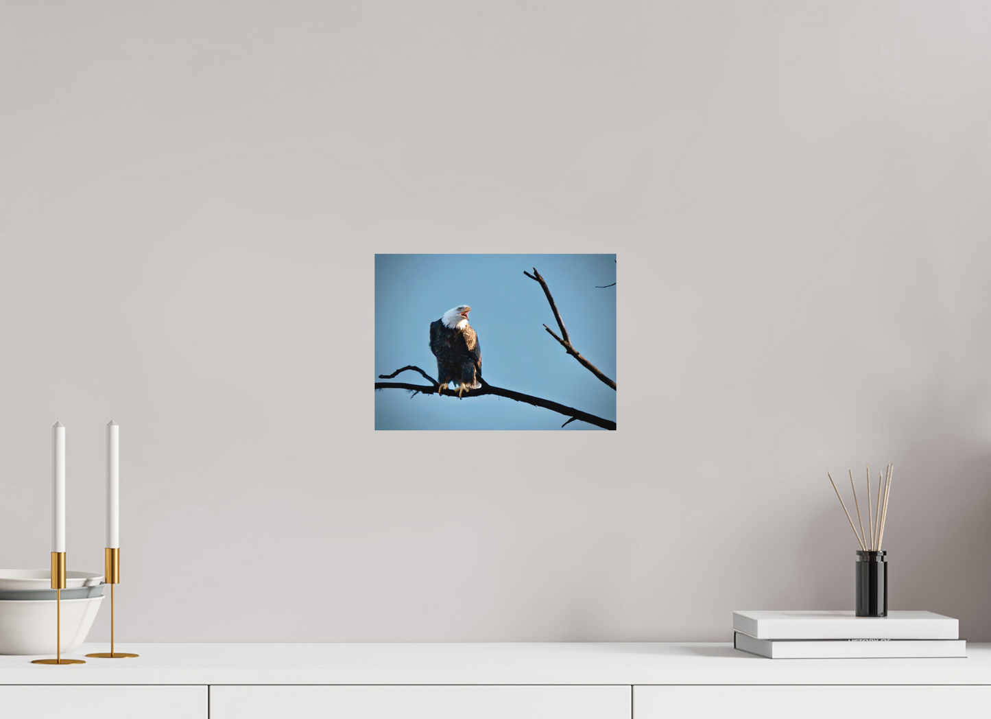 10.9 x 8″, Matte Print Screaming Eagle