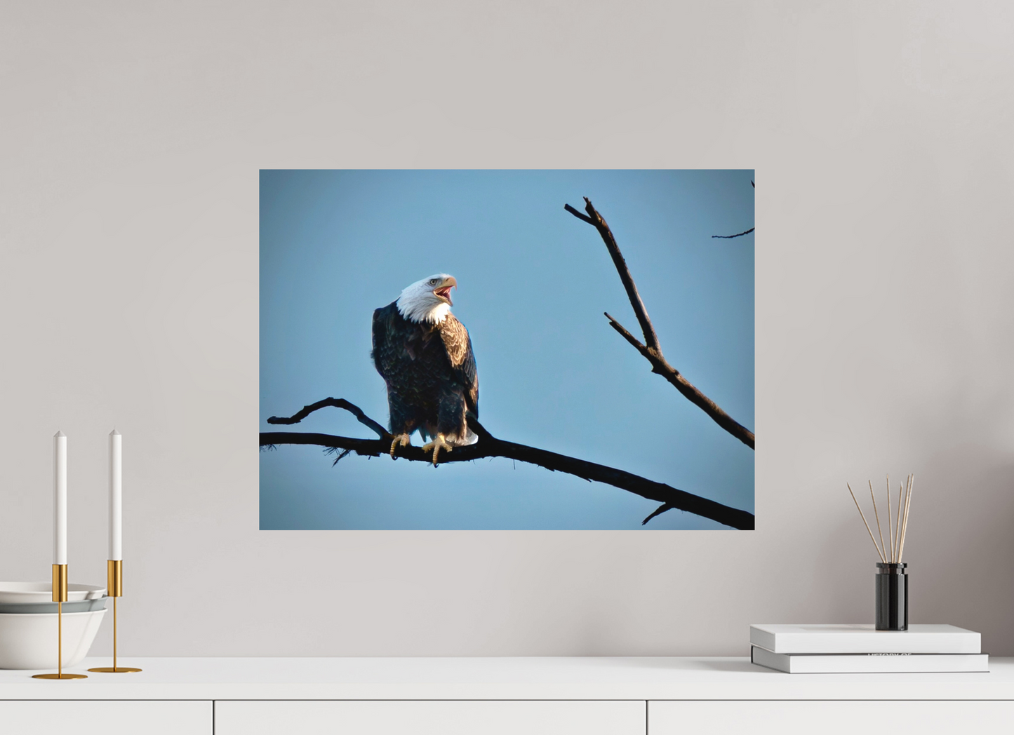 21.9 x 16″, Matte Print Screaming Eagle