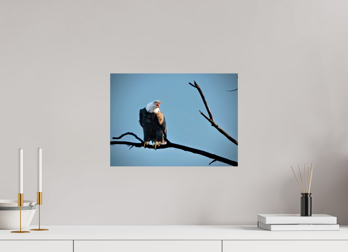 16.5 x 12″, Crystal Pearl Paper Screaming Eagle