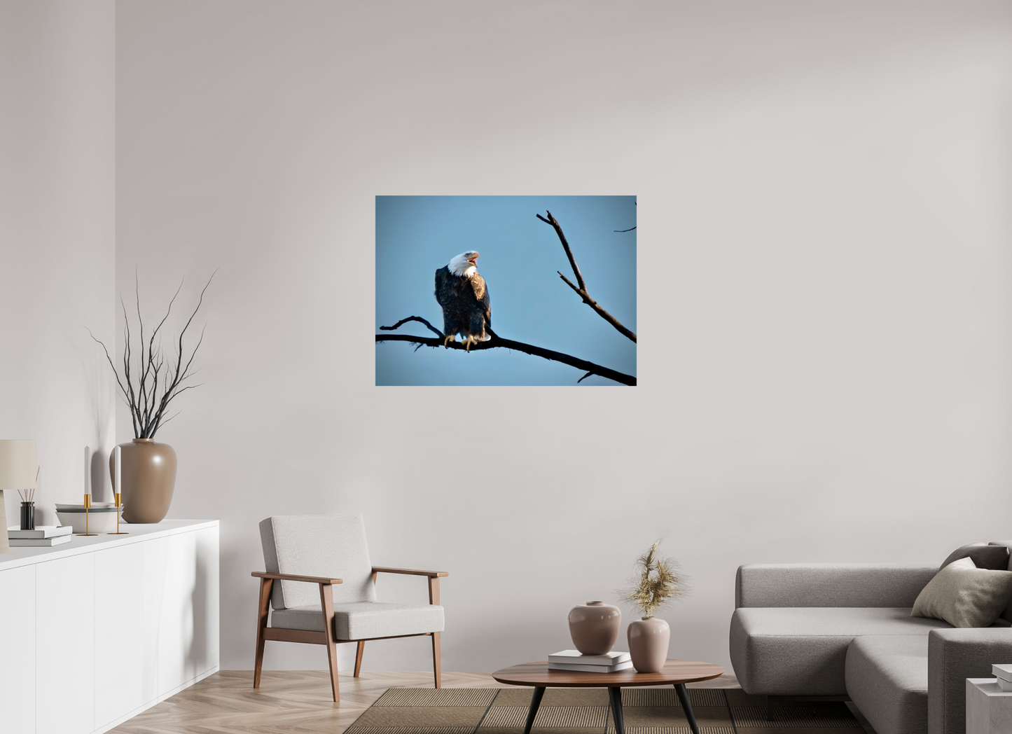 42.5 x 31″, Glossy Print Screaming Eagle