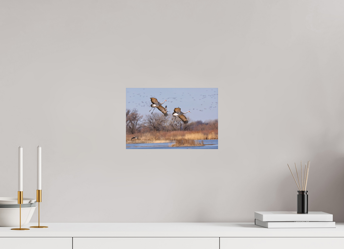 12 x 8″, Matte Print Coming In