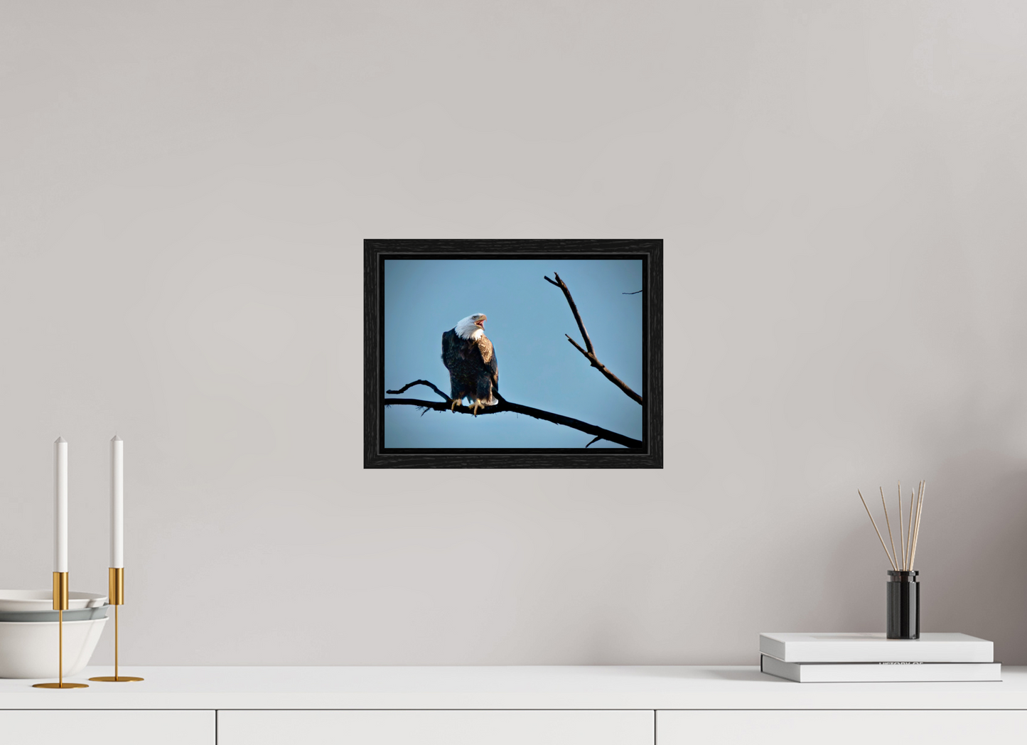 10.9 x 8″, Floater Frame Screaming Eagle
