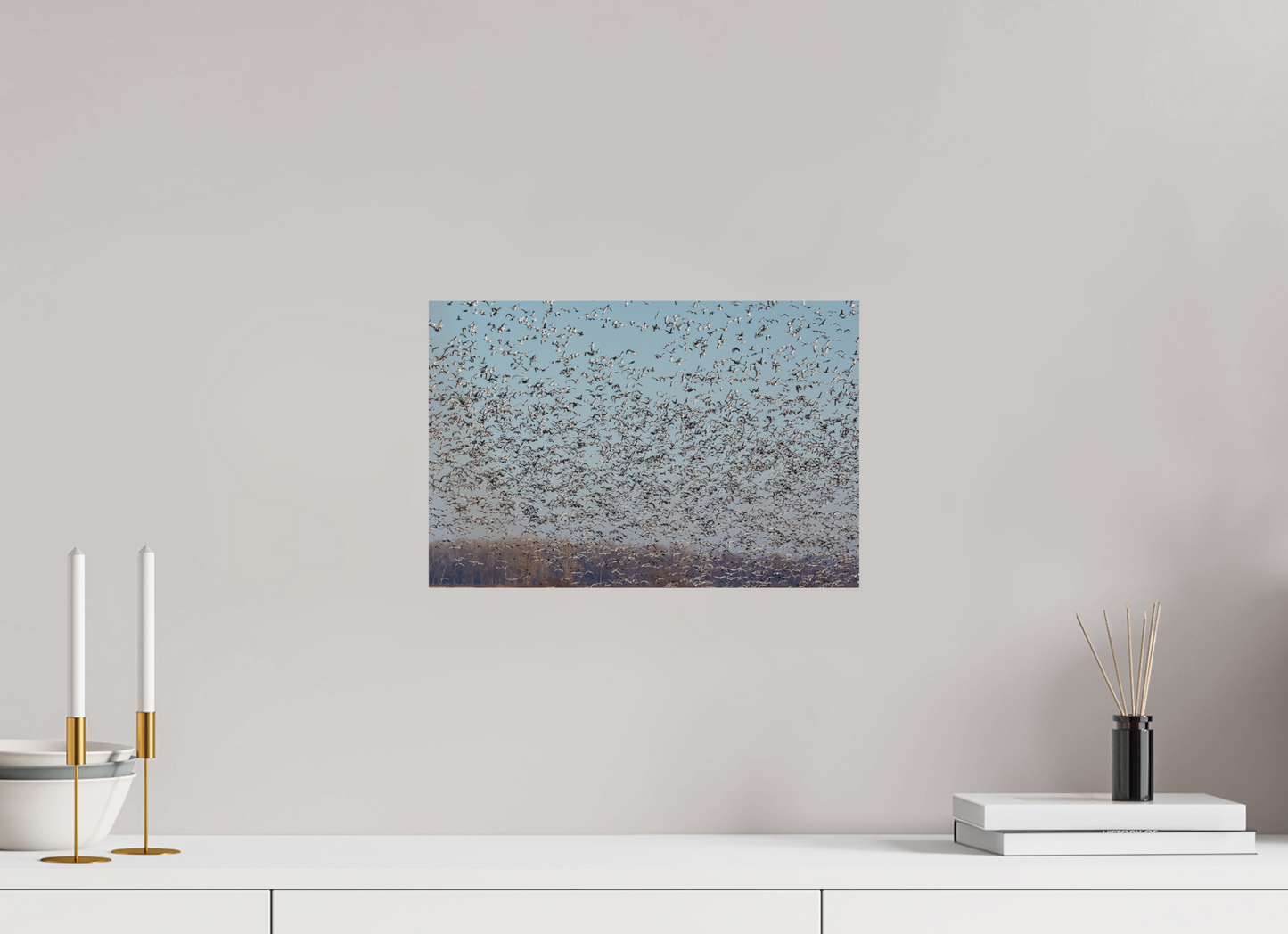 15 x 10″, Matte Print Migration
