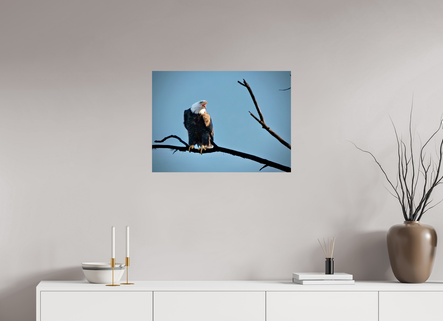 27.4 x 20″, Glossy Print Screaming Eagle