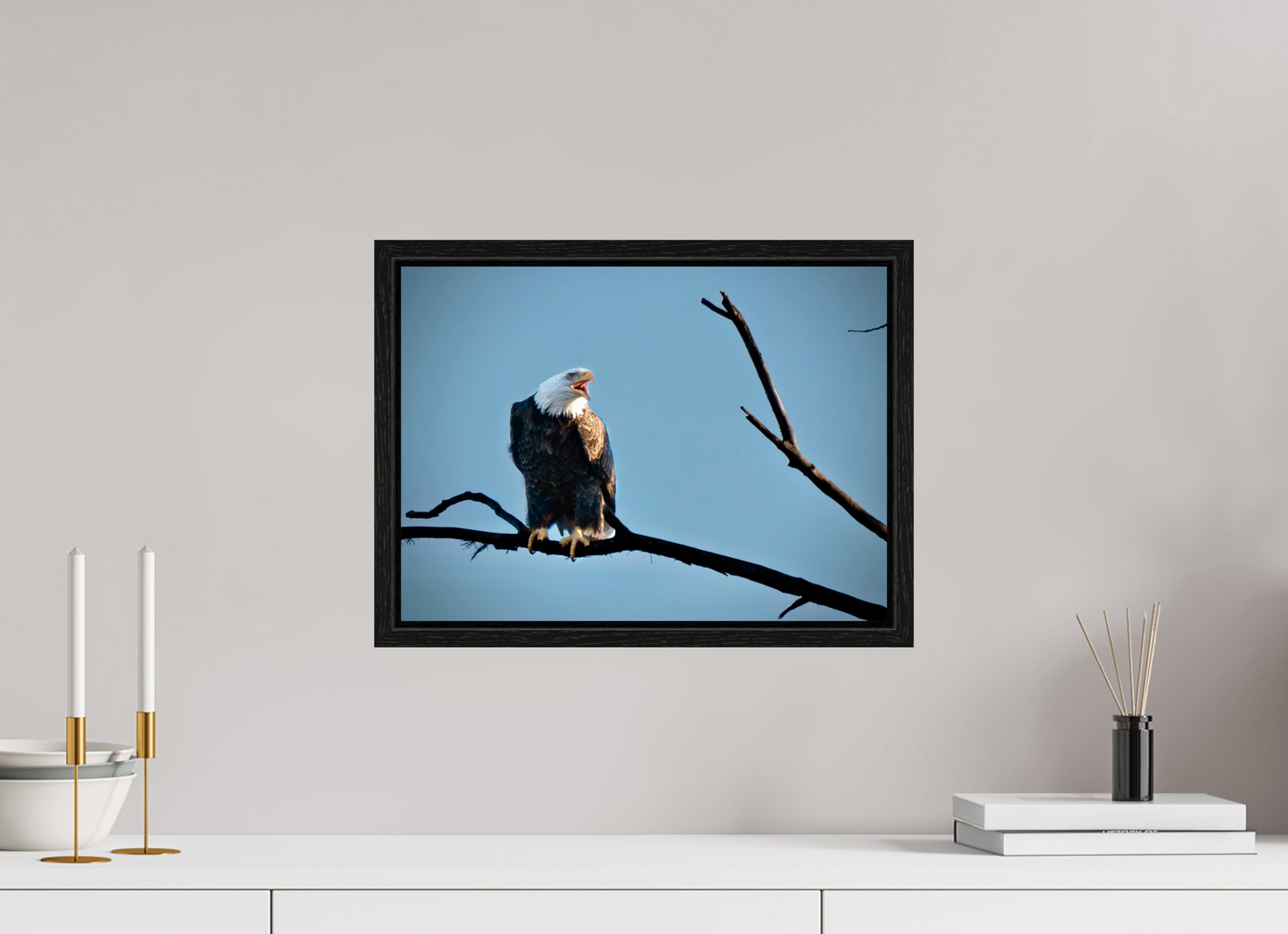 16.5 x 12″, Floater Frame Screaming Eagle
