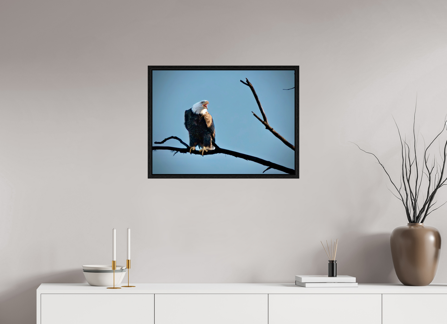 27.4 x 20″, Floater Frame Screaming Eagle