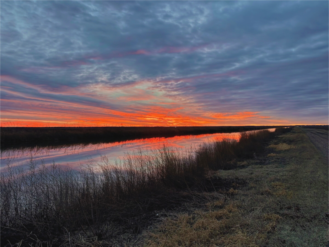 Main image Cheyenne Sundown
