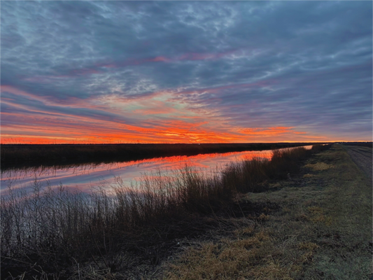 Main image Cheyenne Sundown