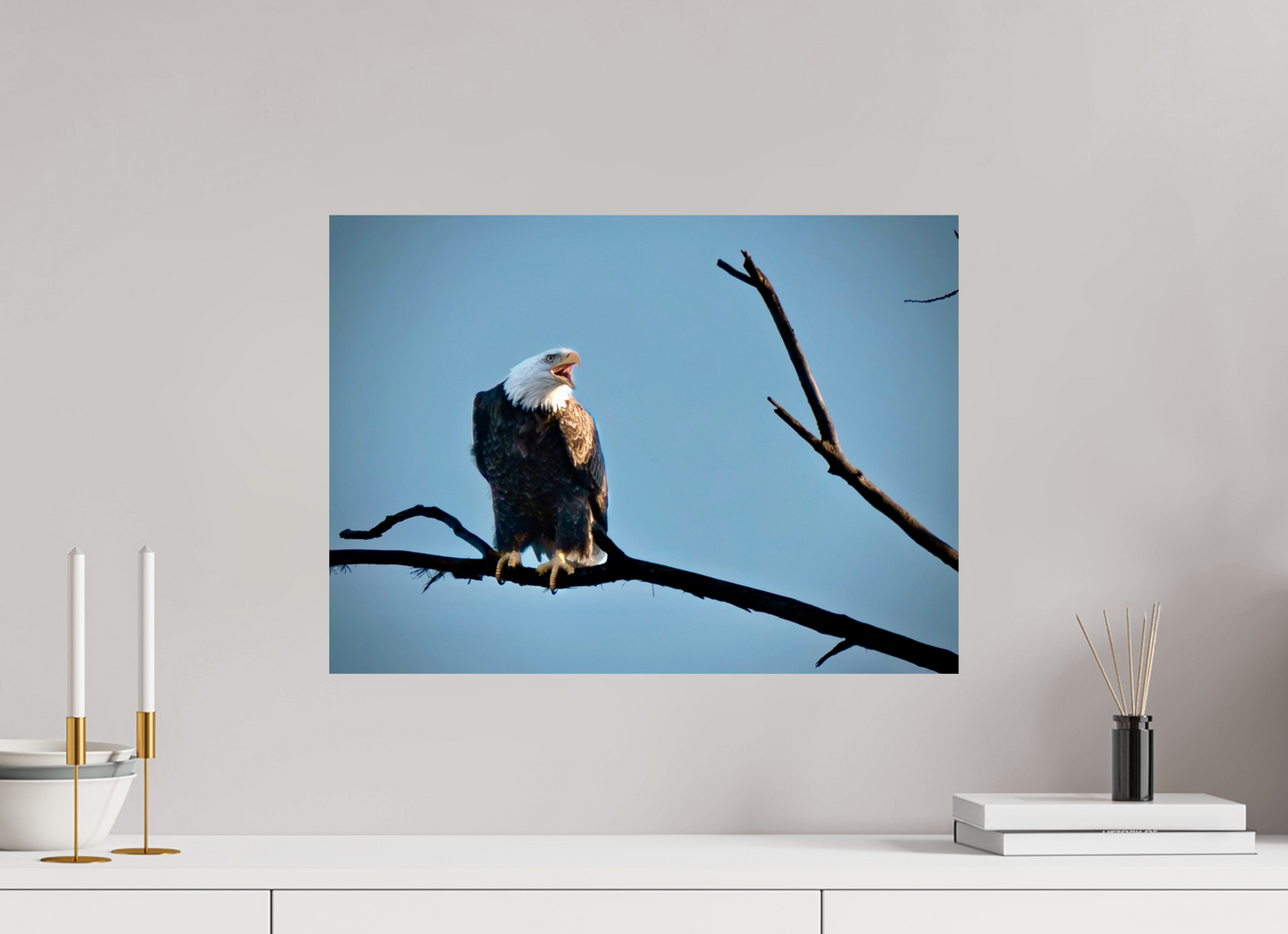 21.9 x 16″, Crystal Pearl Paper Screaming Eagle