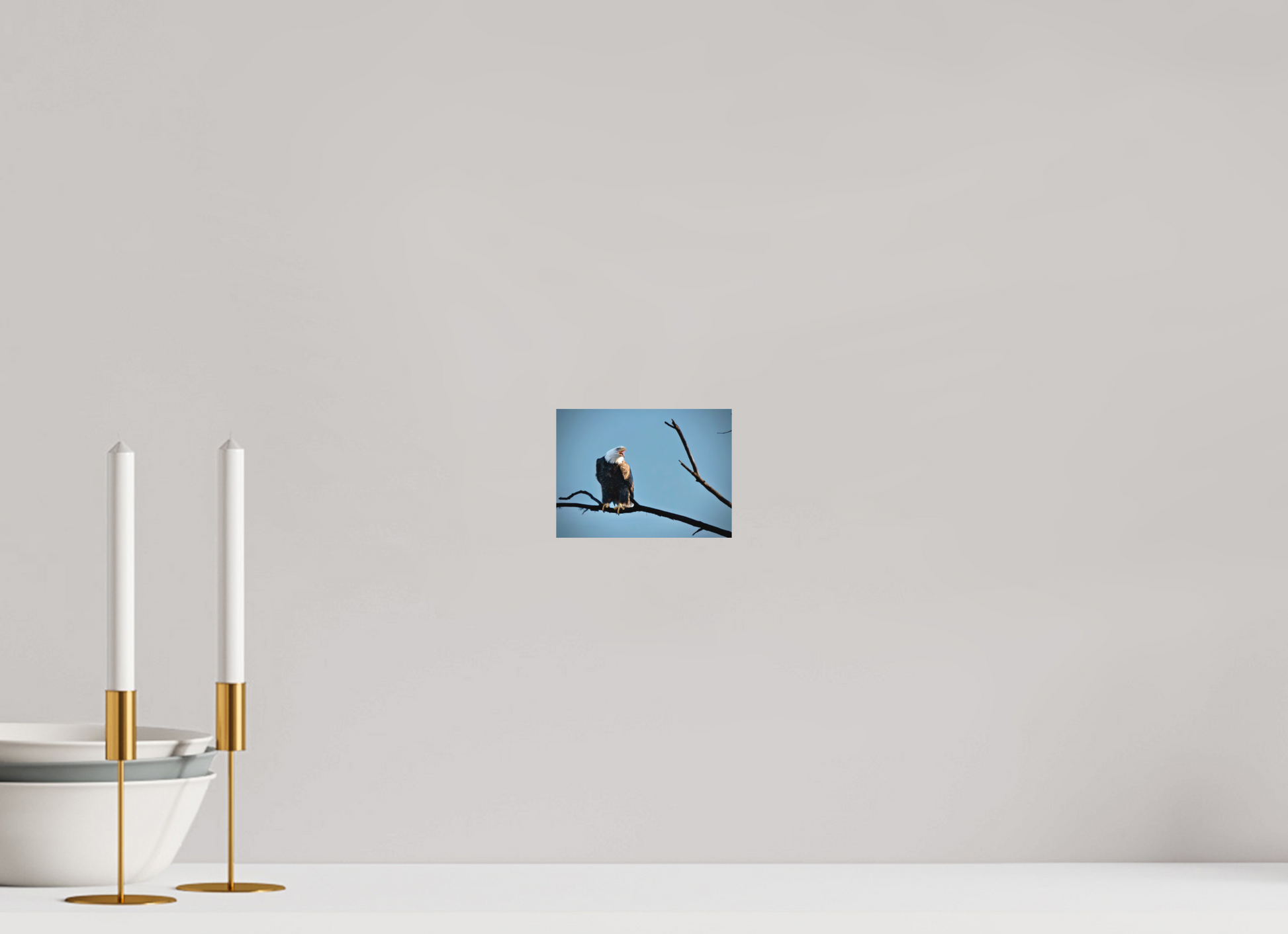 5.5 x 4″, Matte Print Screaming Eagle